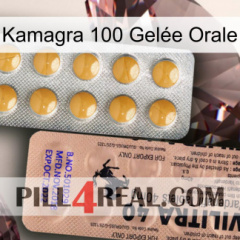 Kamagra 100 Gelée Orale 41